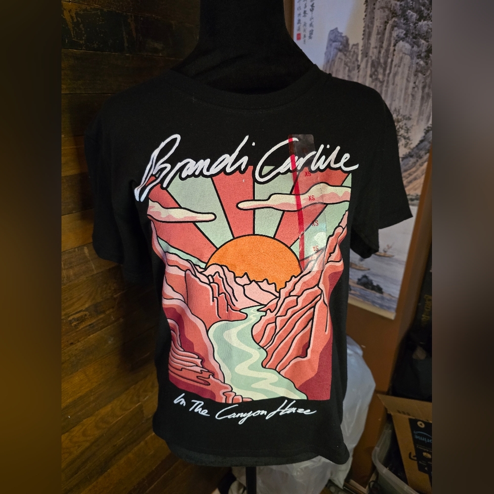 NWT Brandi Carlile "In The Canyon Haze" Tee - Picture 5 of 8